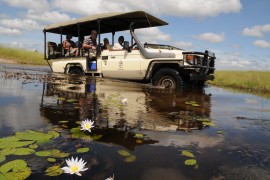 Botswana Safari Vehicle